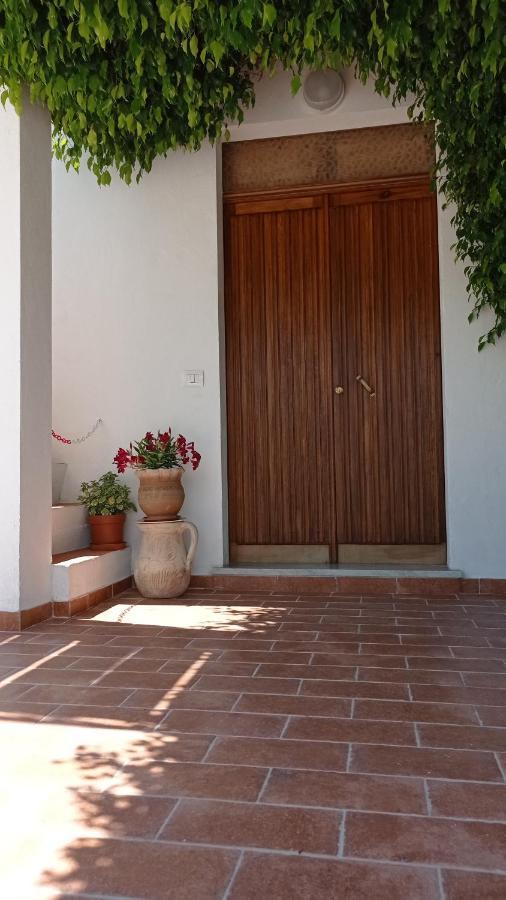 B&B Vannefora San Nicola Arcella Exterior foto